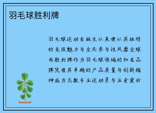 羽毛球胜利牌