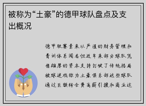 被称为“土豪”的德甲球队盘点及支出概况